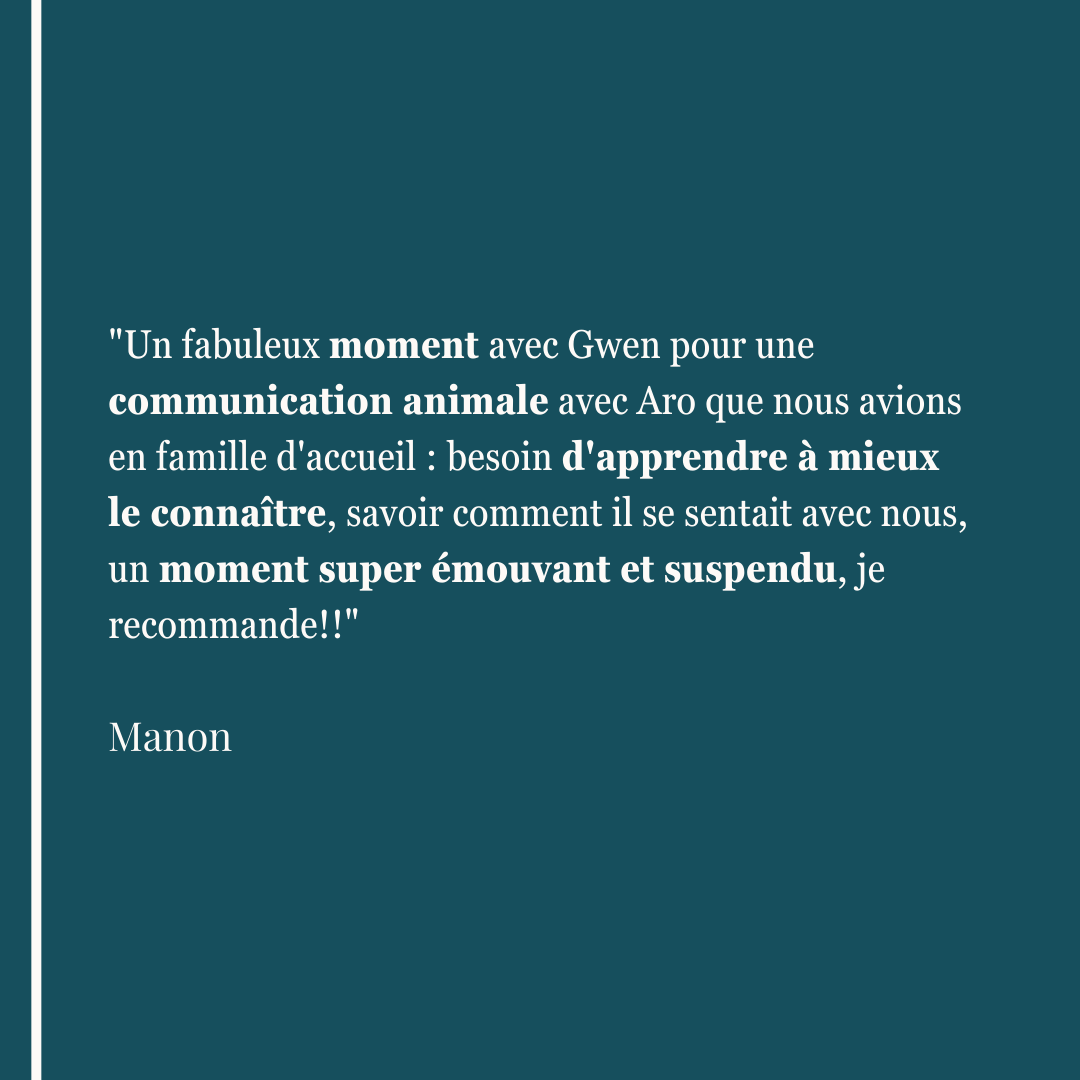 "Un fabuleux moment avec Gwen pour une communication animale avec Aro que nous avions en famille d'accueil : besoin d'apprendre à mieux le connaître, savoir comment il se sentait avec nous, un moment super émouvant et suspendu, je recommande!!" Manon