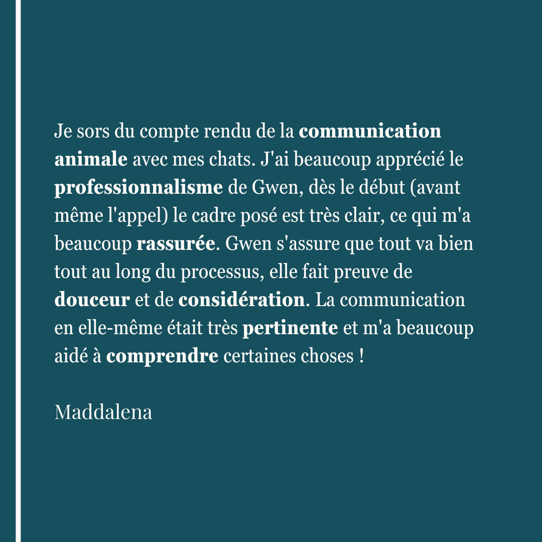 Je sors du compte rendu de la communication animale avec mes chats. J'ai beaucoup apprécié le professionnalisme de Gwen, dès le début (avant même l'appel) le cadre posé est très clair, ce qui m'a beaucoup rassurée. Gwen s'assure que tout va bien tout au long du processus, elle fait preuve de douceur et de considération. La communication en elle-même était très pertinente et m'a beaucoup aidé à comprendre certaines choses ! Maddalena